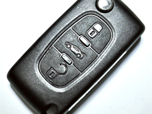 citroen peugeot id46